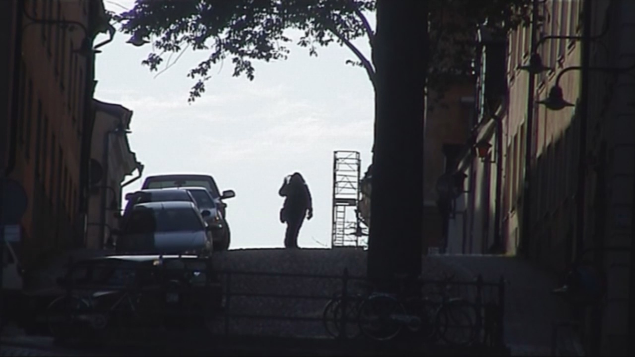 Video still from Did You See That Bird by Bo G Svensson