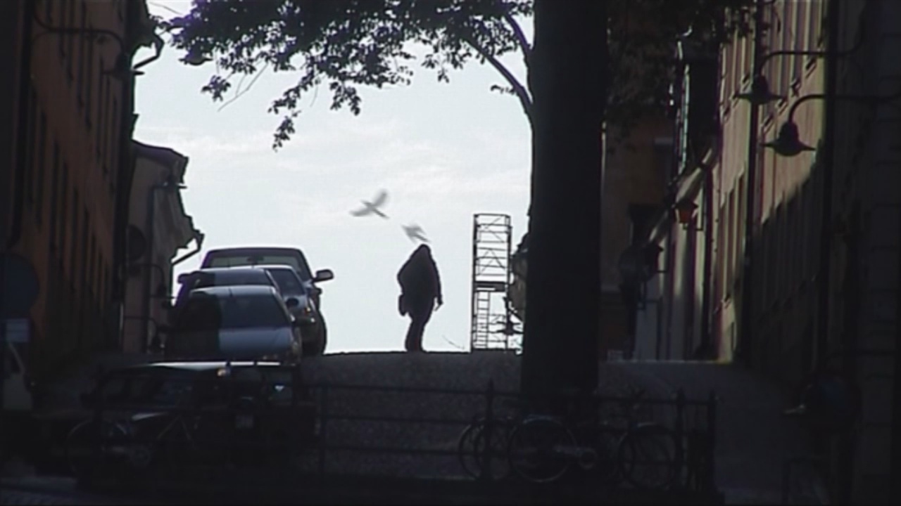Video still from Did You See That Bird by Bo G Svensson