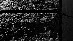 Foto: Stoned. (c) PRETTO film 2009
